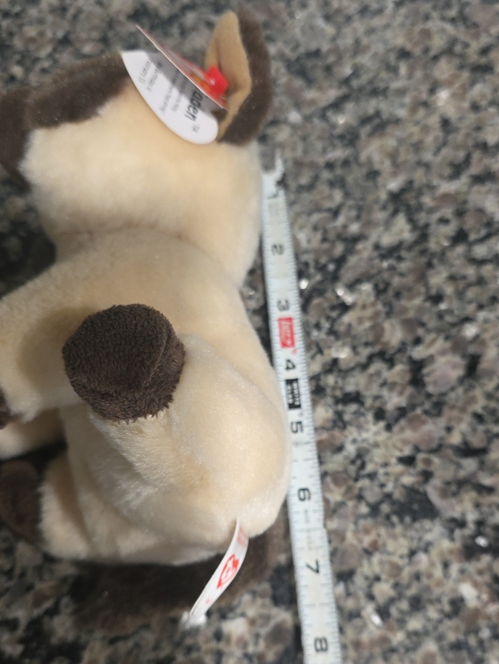 Ty Beanie Babies Jaden Siamese Kitten - Cream and Brown - Picture 5 of 5